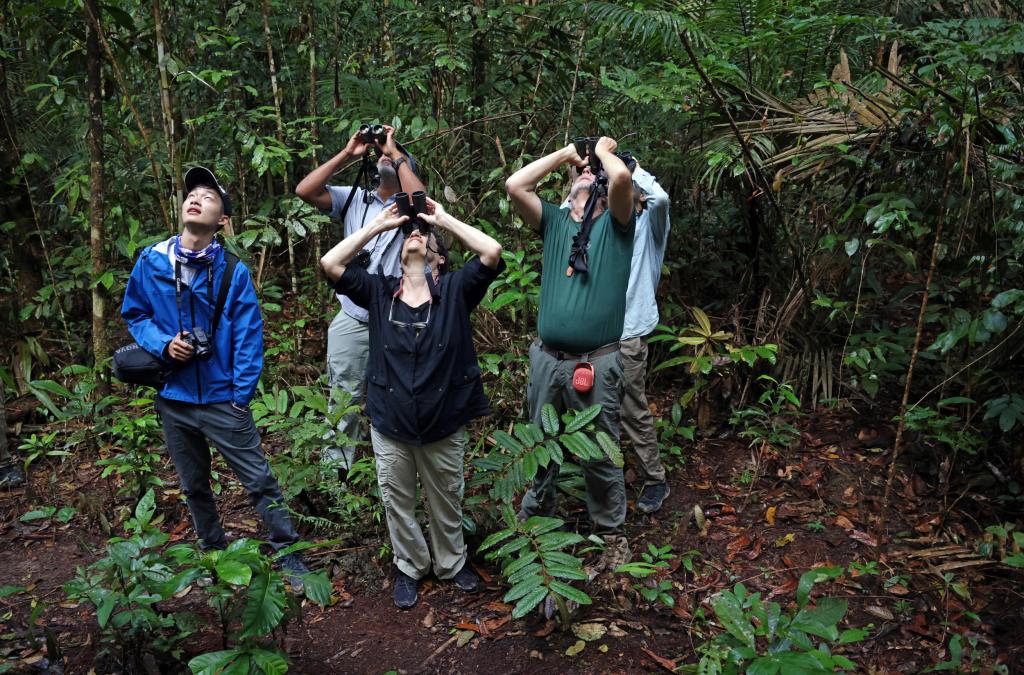 Chun-Yu Su, from left, Scott Edwards, Naomi Oreskes, Mario Cohn-Haft, and Oliver Lazarus birdwatching in the Amazon Rainforest.