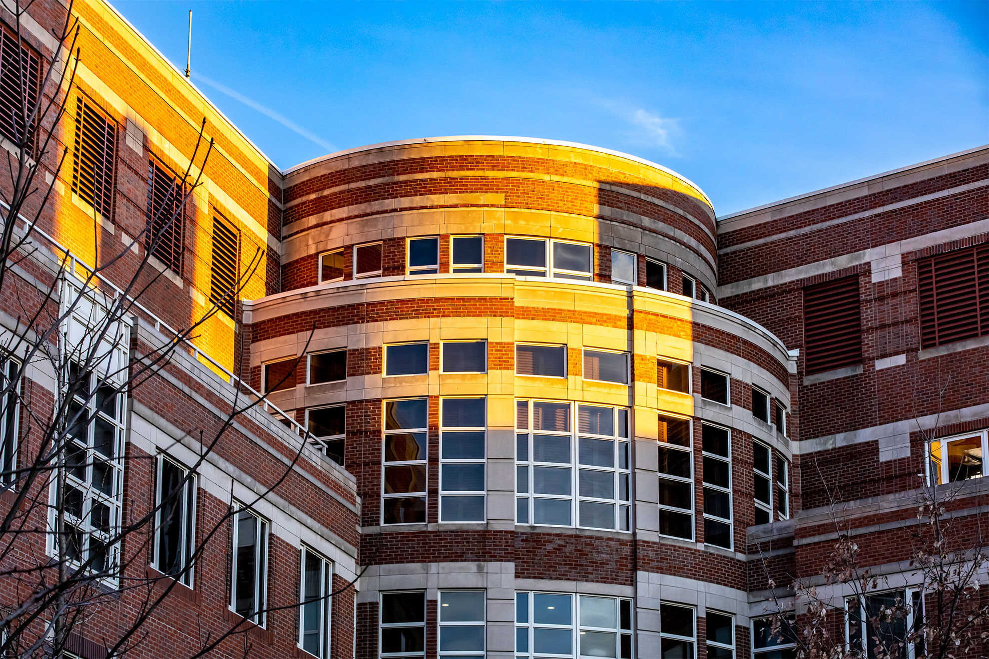 Harvard Impact Labs awards $1.4M to launch research projects to tackle ...