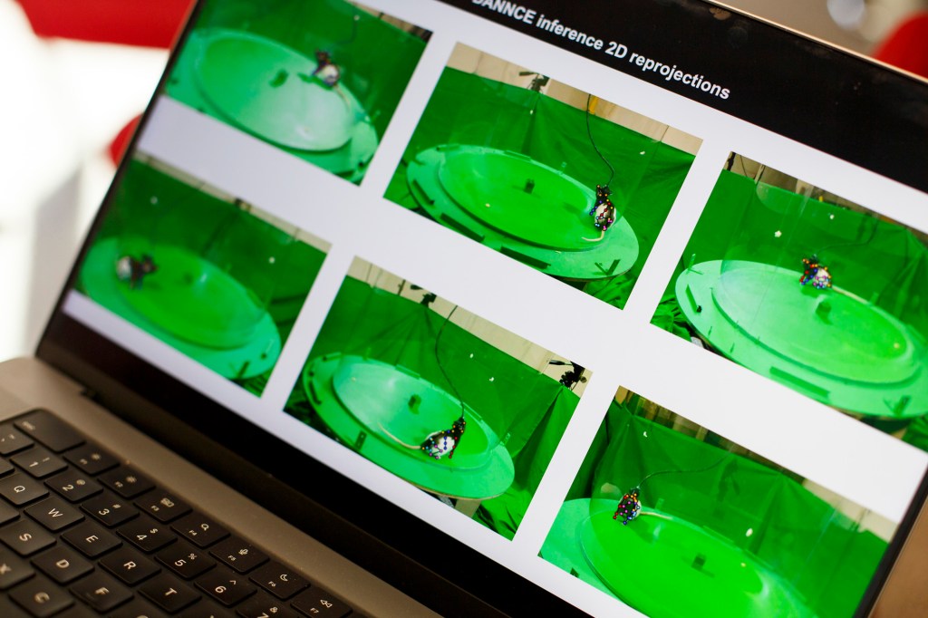 video of computer models that collected data on rat behavior. 