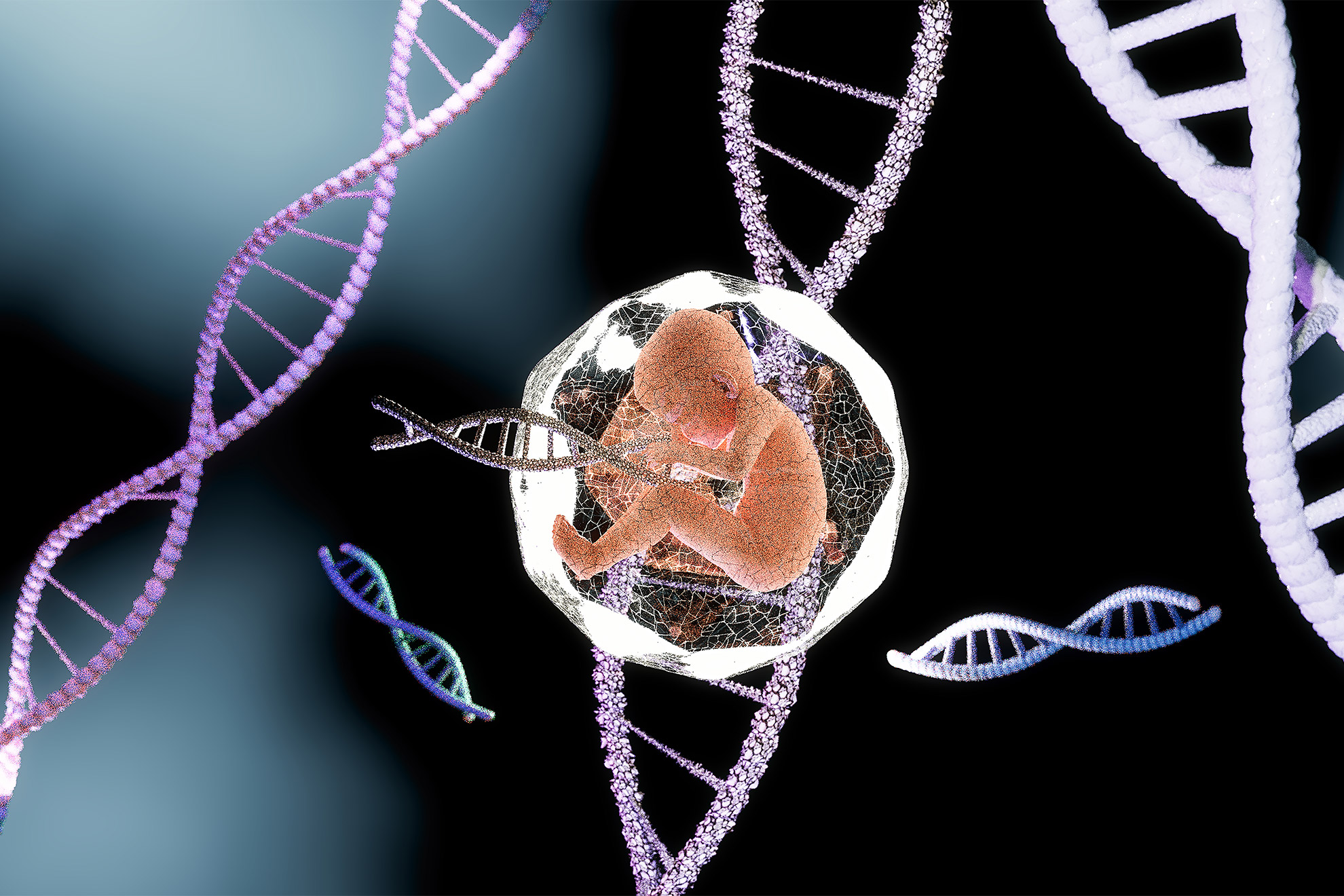 Illustration of fetus with DNA.