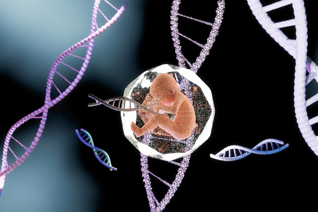 Illustration of fetus with DNA.