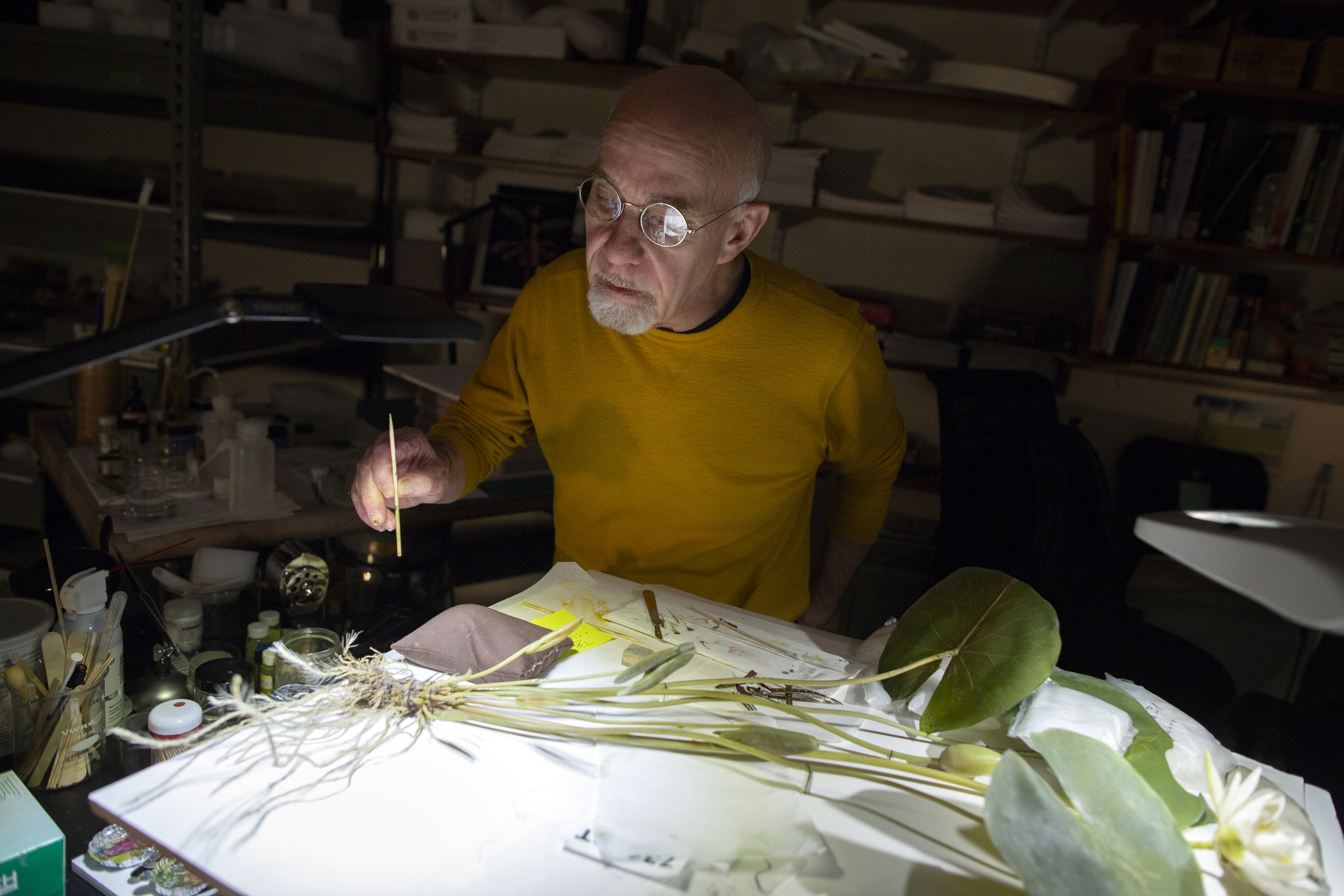 Scott Fulton works to clean and restore objects from the glass flowers collection.
