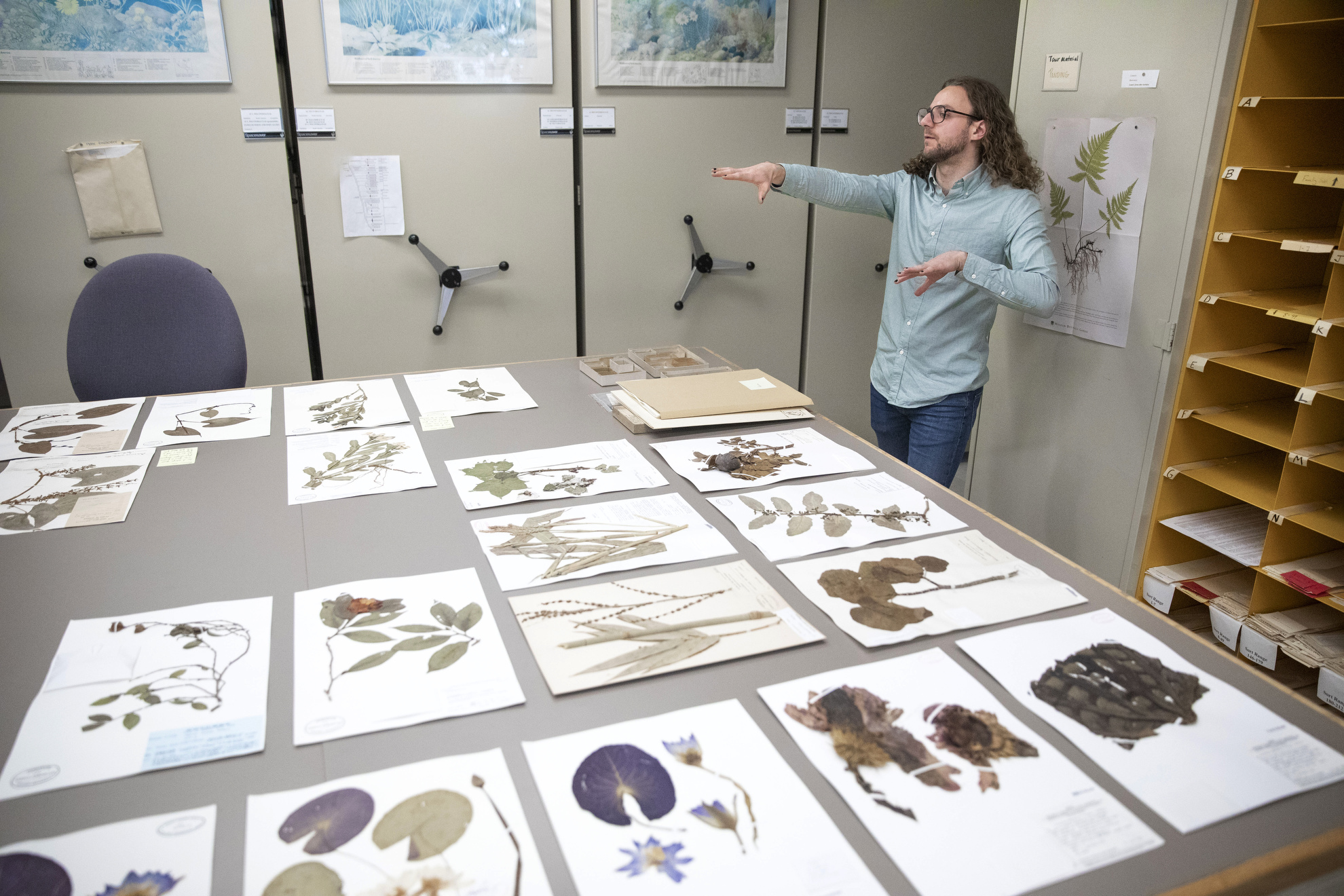 Jackson Kehoe is pictured with Herbarium displays collections.