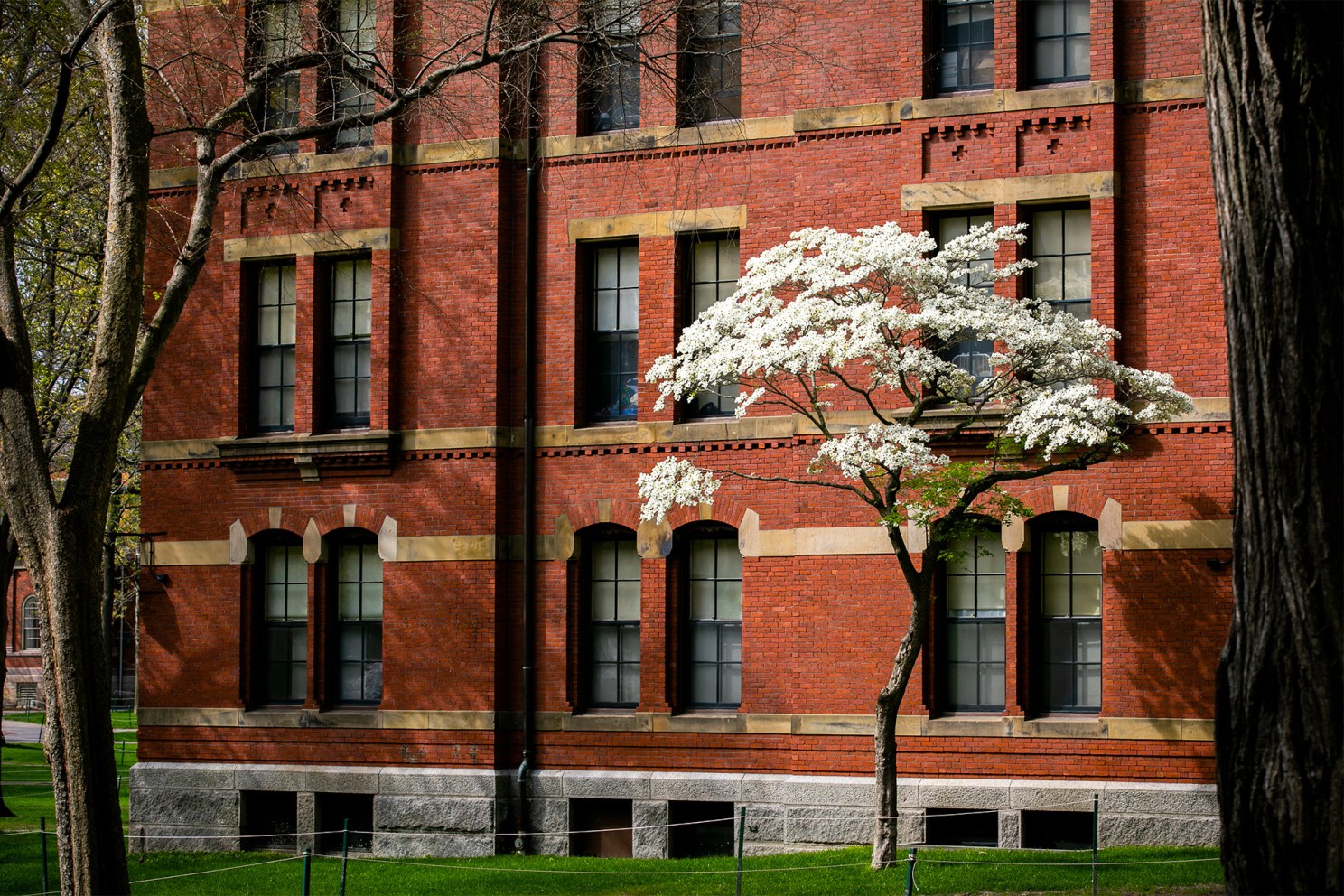 Weld Hall.