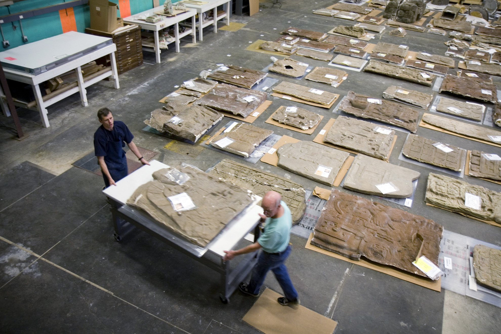 Stuart Heebner and Scott Fulton move a cast to be cleaned at Peabody Museum.