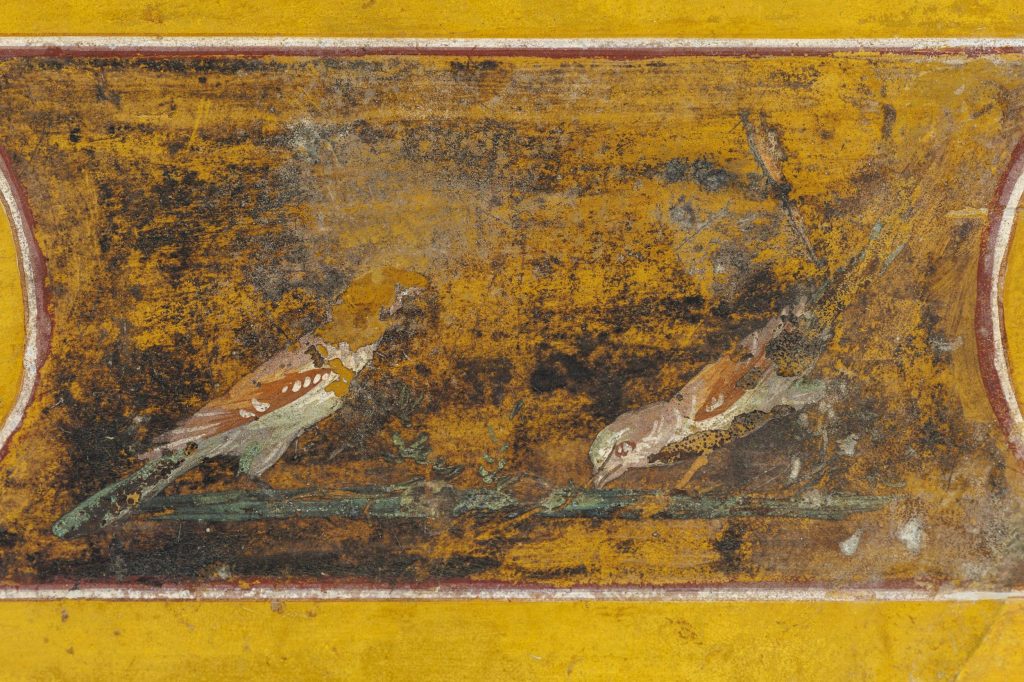 Detail of a Wall Painting Fragment from the Villa at Boscotrecase, 10 BCE-1 BCE, from the early Roman Imperial period.