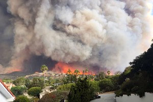 Raging wildfire.