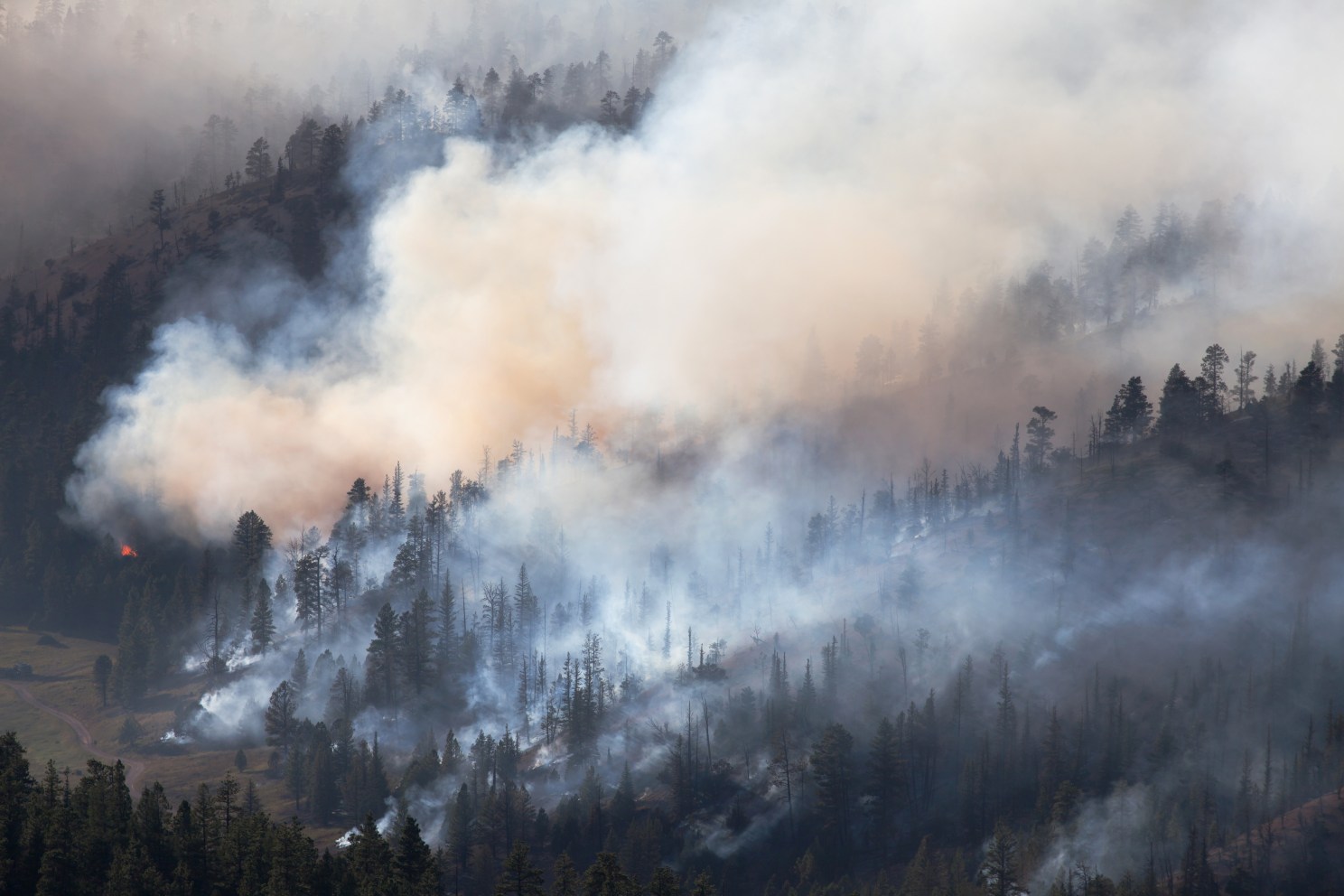 wildfire smoke