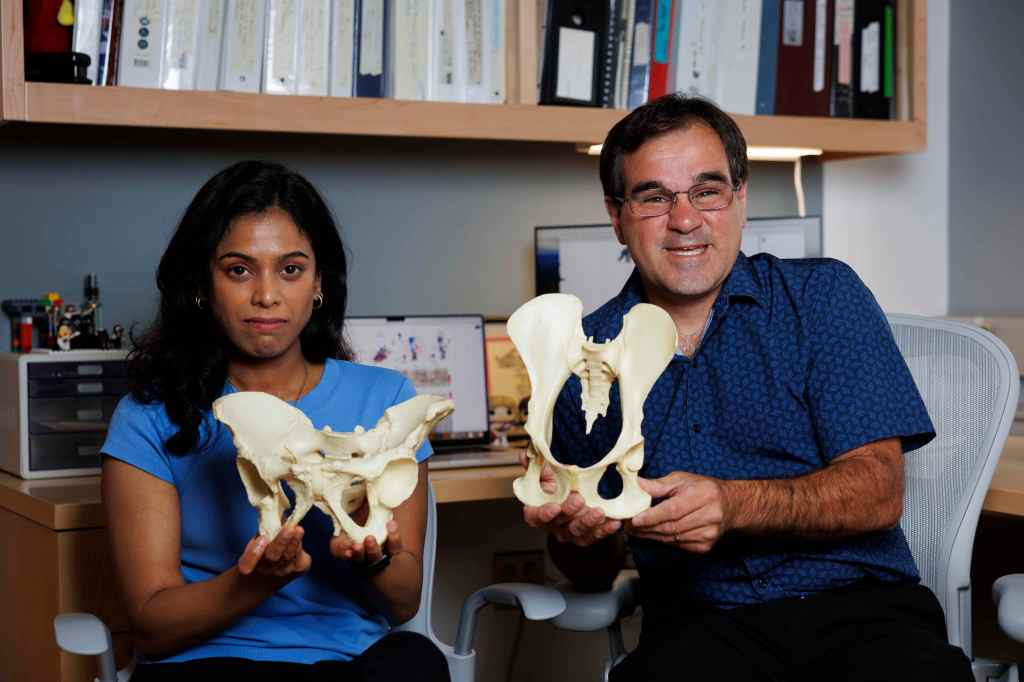 Gayani Senevirathne and Terence Capellini holding models of pelvises.