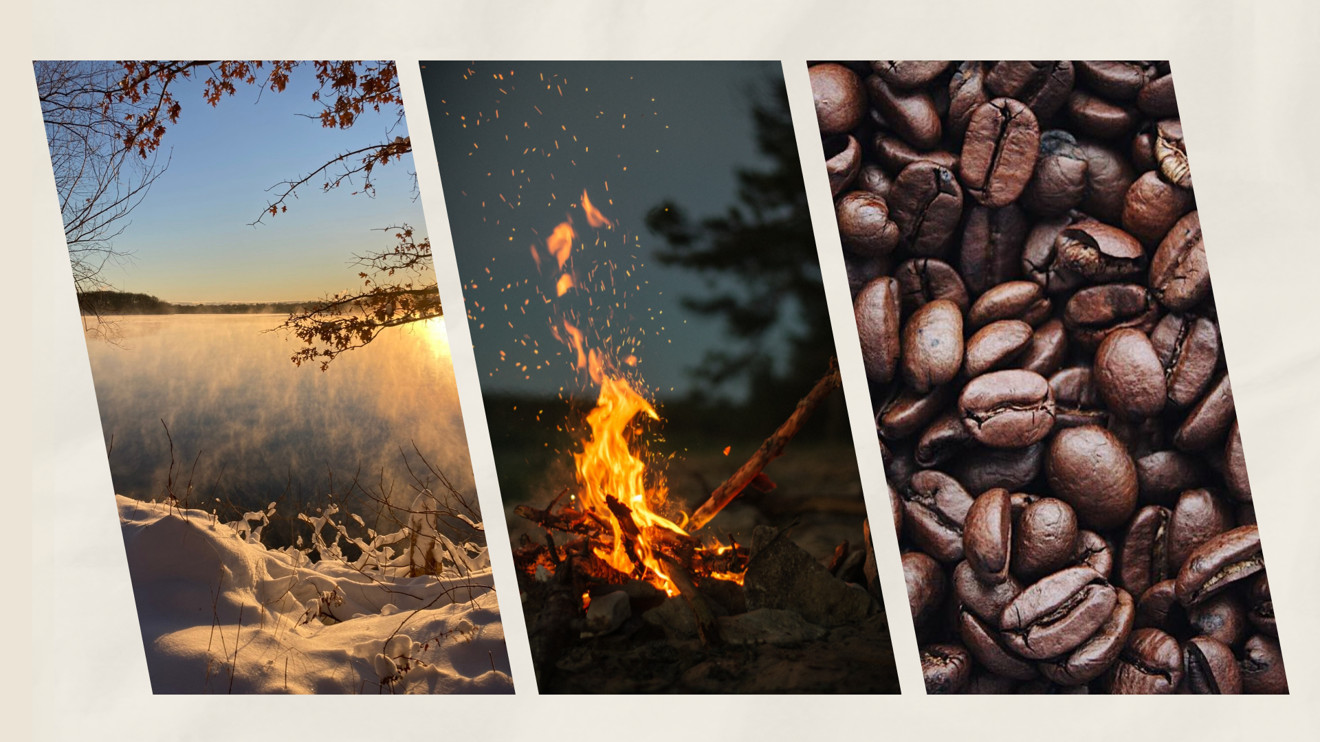 Illustration of nature walk, campfire, and coffee beans.