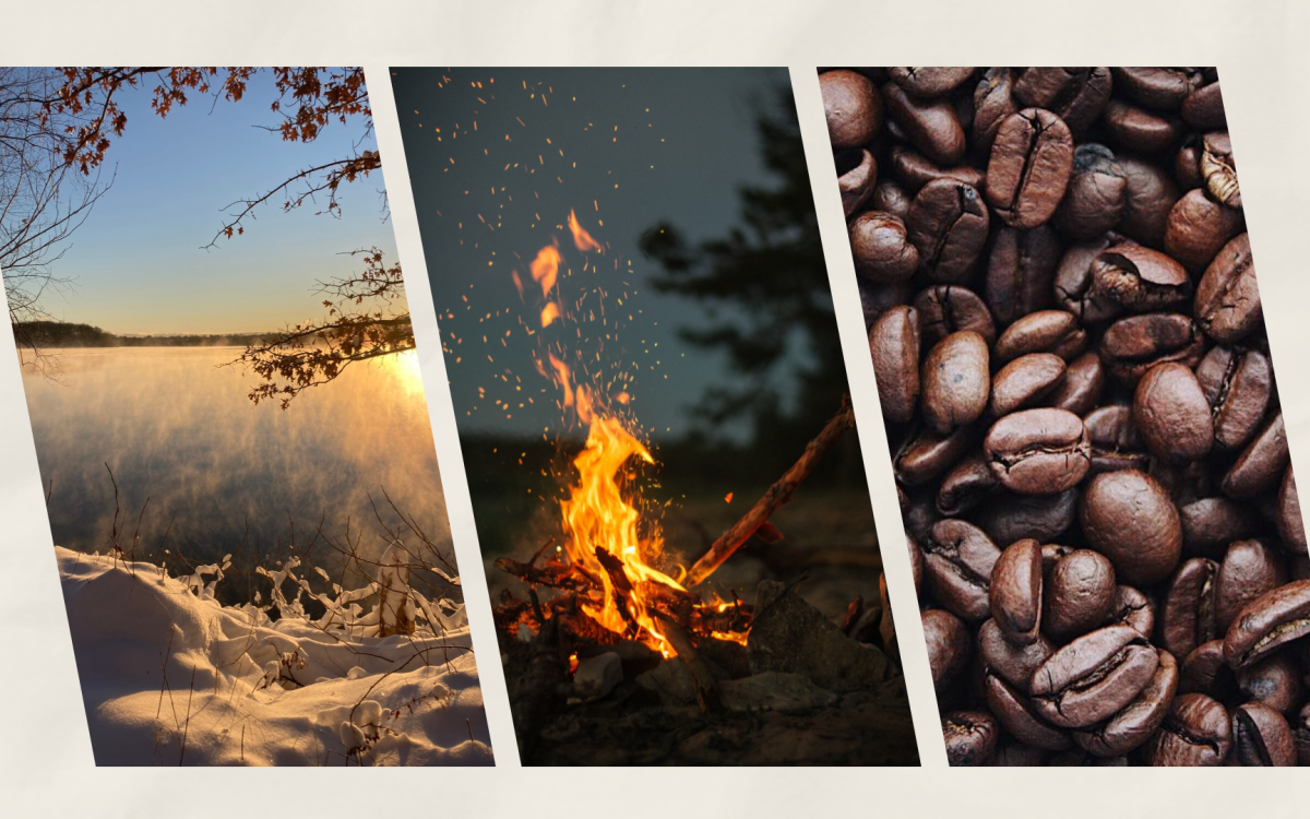 Illustration of nature walk, campfire, and coffee beans.