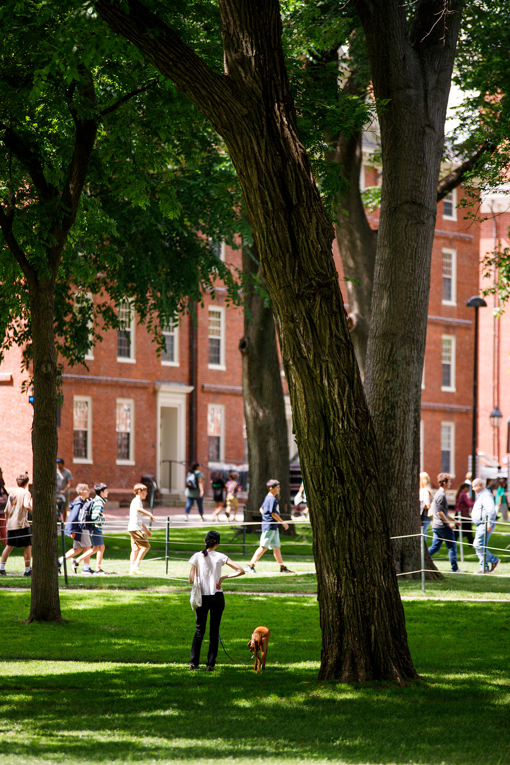 Harvard Yard.