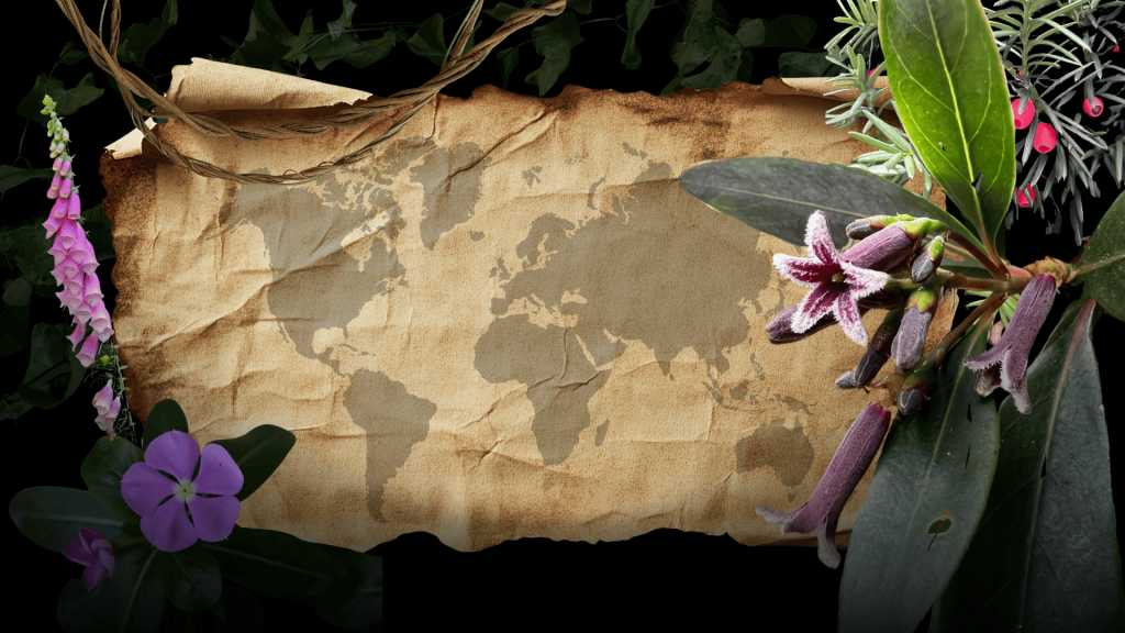 collage of medicinal flowers and world map