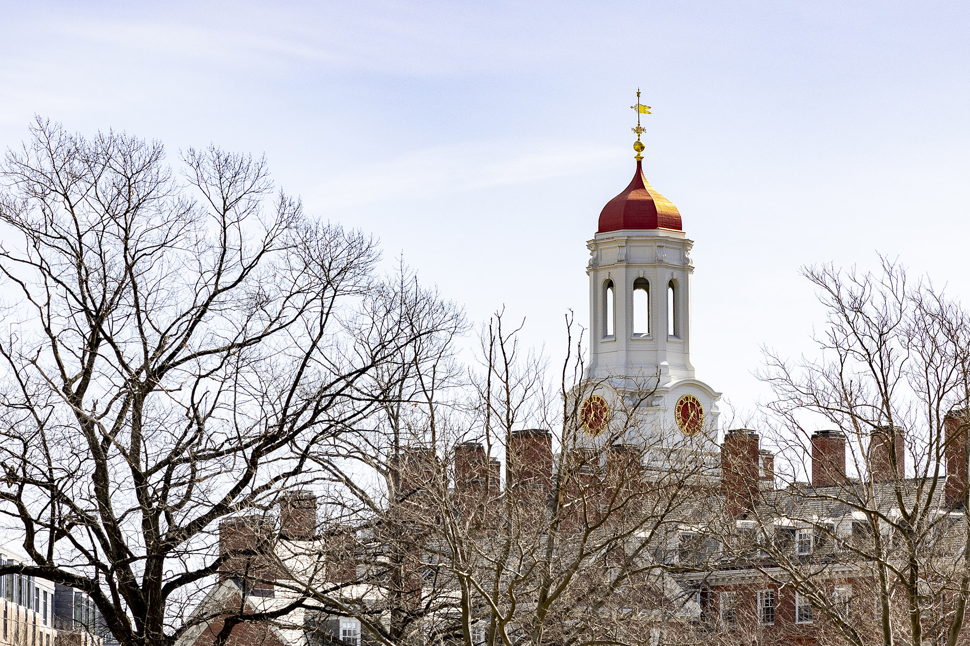 Alumni committee names candidates for Harvard board elections — Harvard ...