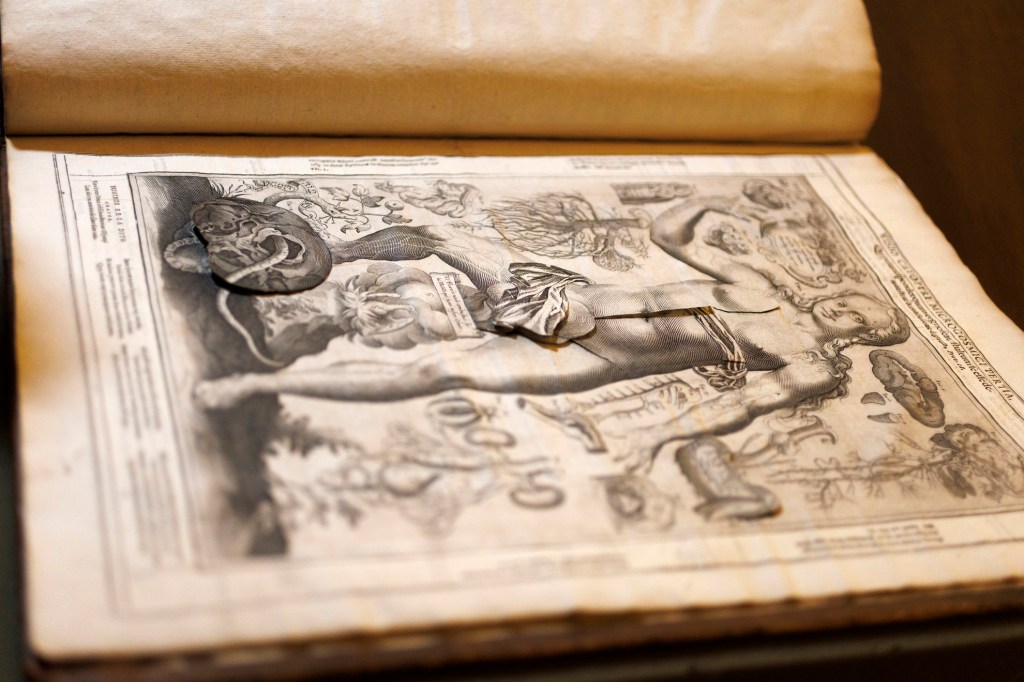 A detail from Johann Remmelin’s “Catoptrum Microcosmicum.”