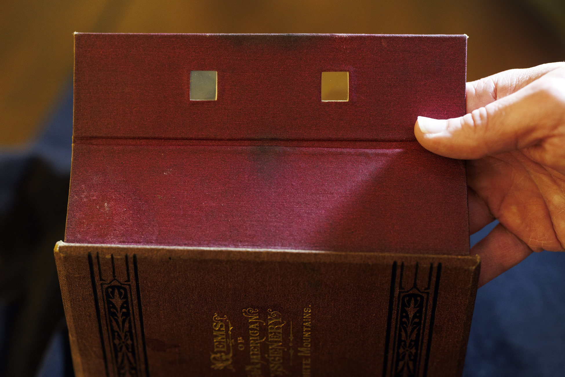 Stereoscopic viewer from "Gems of American scenery."