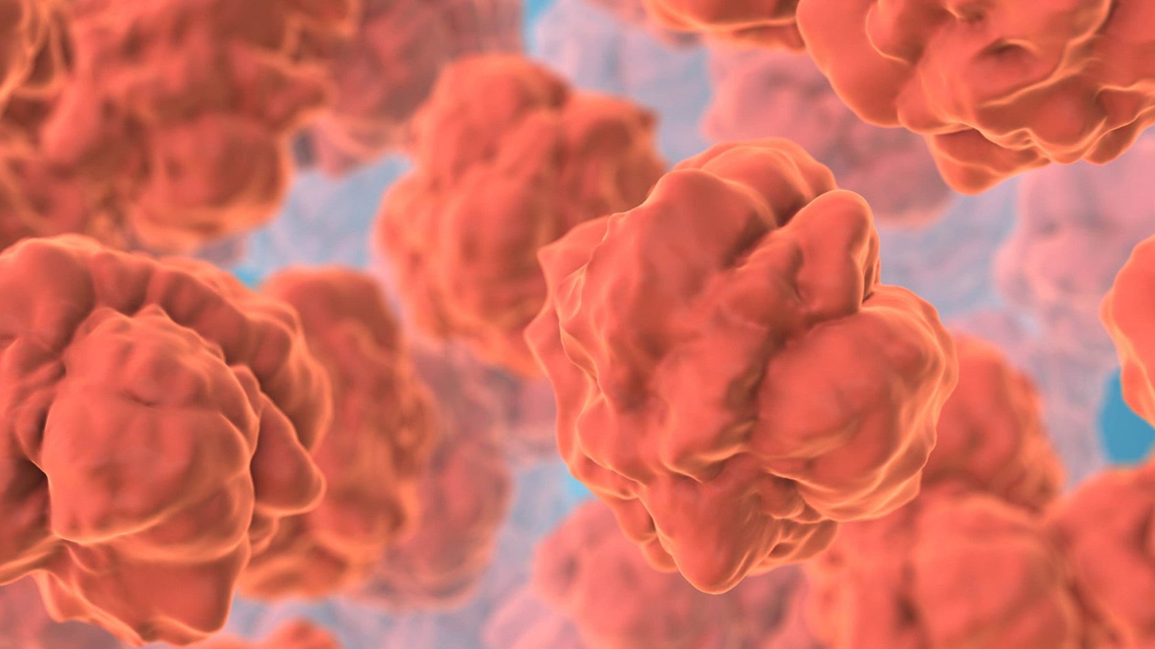 Digestive system epithelial cells form the protective inner lining of the gastrointestinal tract.