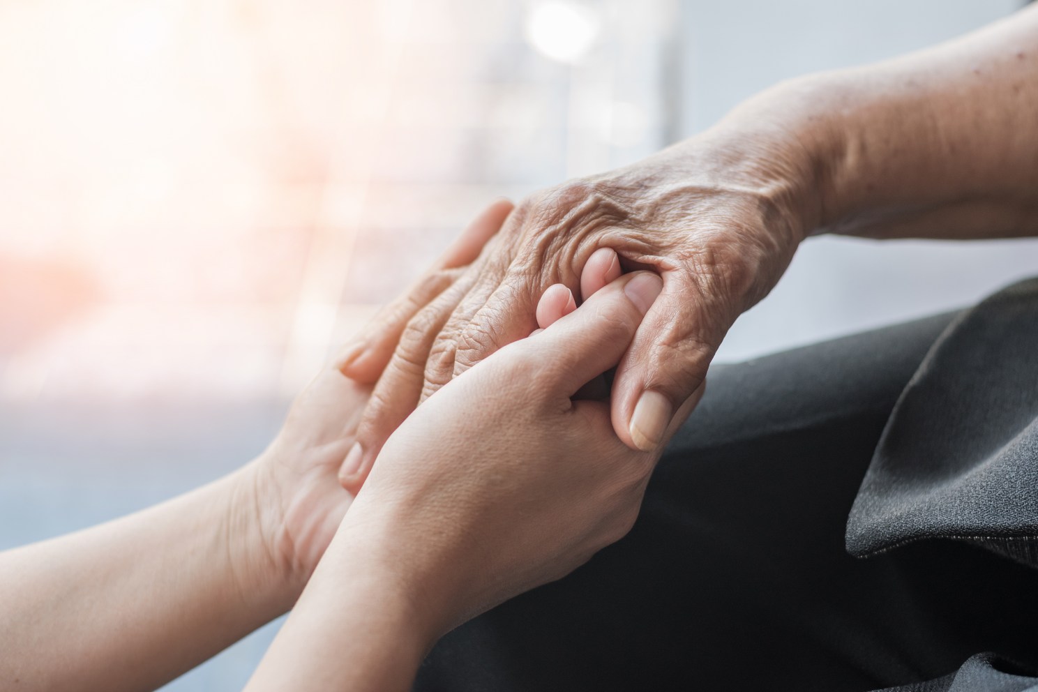 person holding an elderly hand