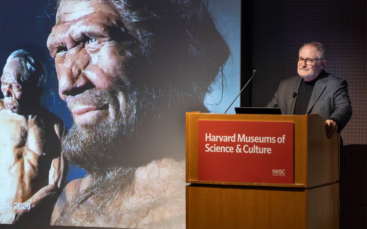 Professor Jean-Jacques Hublin speaking.