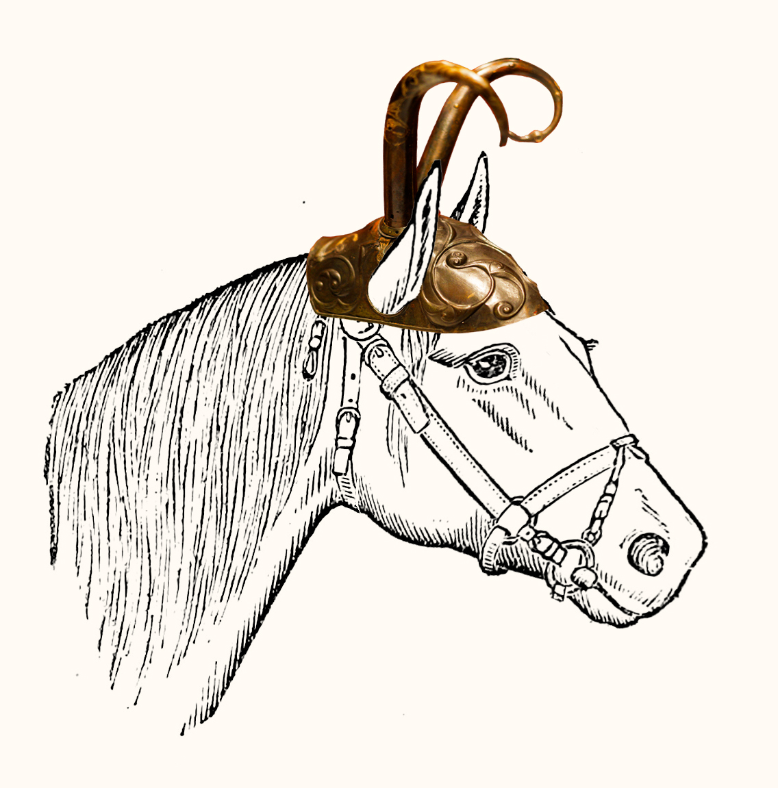 An illustration of the “Pony cap” as it would be worn by a horse