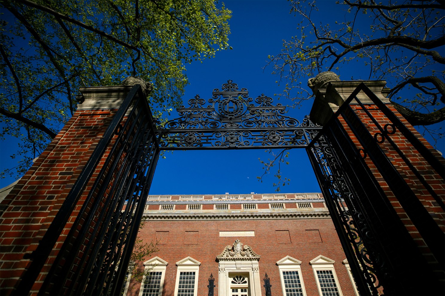 A Harvard Yard gate frames Harvard Art Museums at Harvard University.
